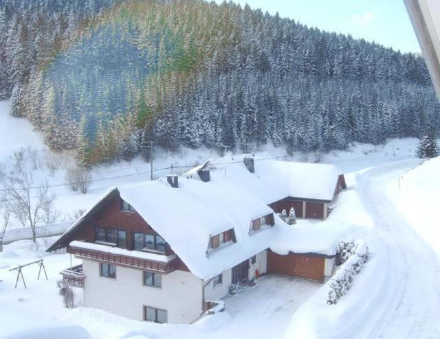 Ferienwohnung-Nr-1 Vohrenbach Luaran gambar